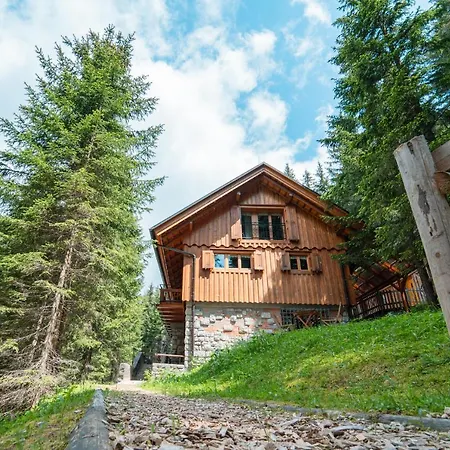 Vila Triglav On Pokljuka Goreljek Exterior foto