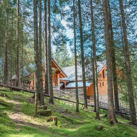 Vila Triglav On Pokljuka Goreljek Exterior foto