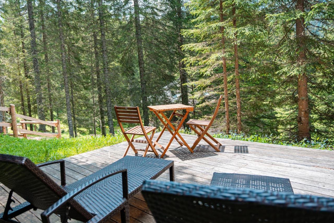 Triglav On Pokljuka Goreljek