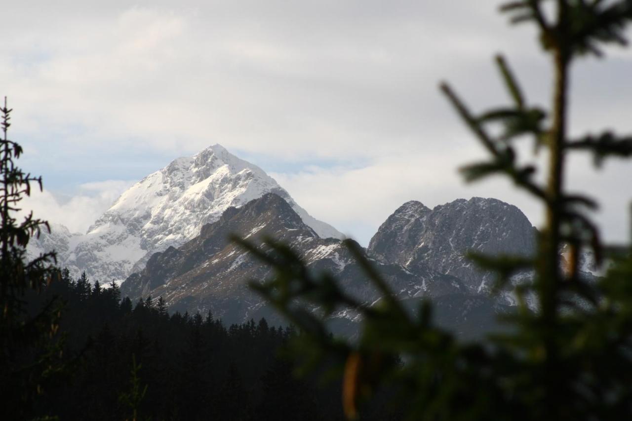 Triglav On Pokljuka