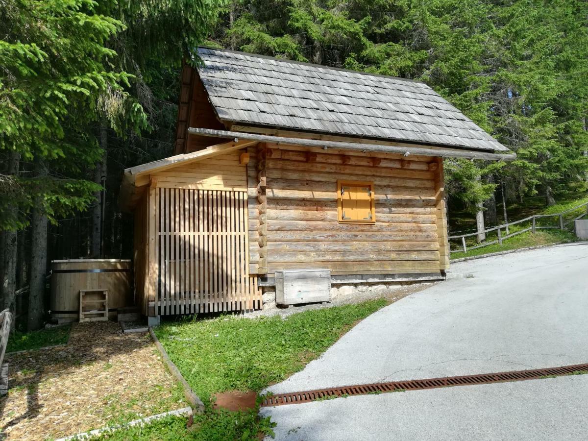 Triglav On Pokljuka Apartment Goreljek