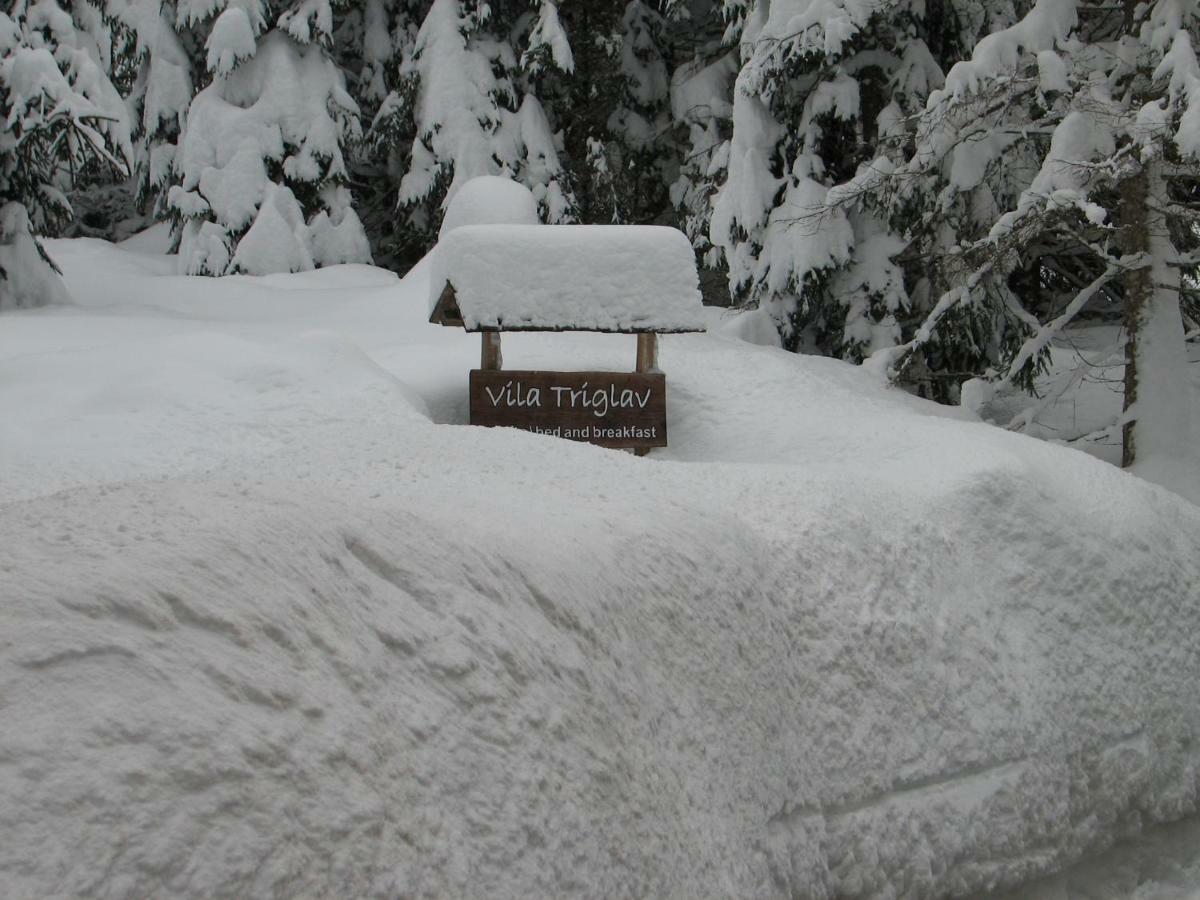 Apartment Triglav On Pokljuka Goreljek